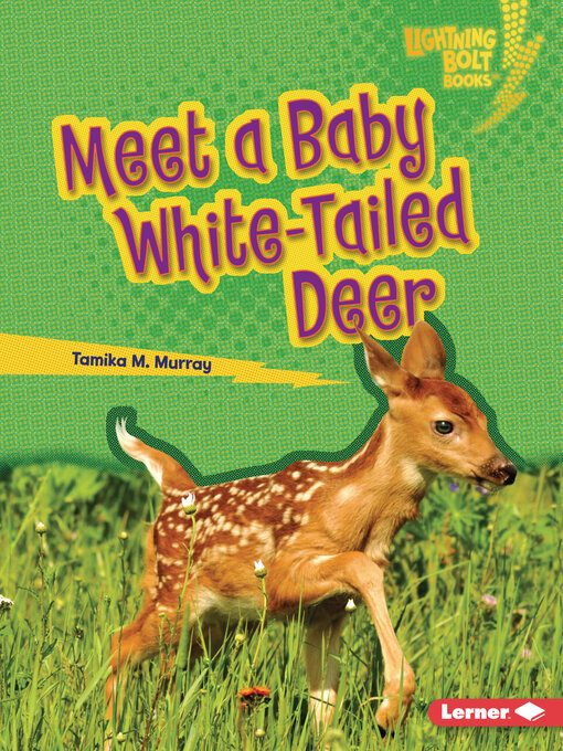 Title details for Meet a Baby White-Tailed Deer by Tamika M. Murray - Available